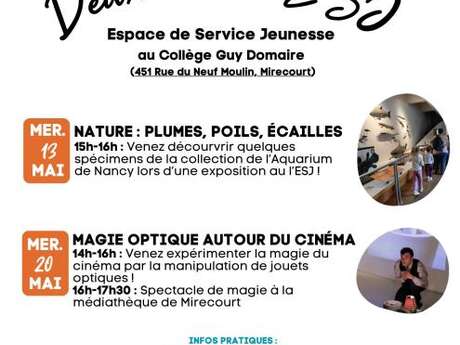 Ateliers parents enfants - Magie optique autour du cinéma