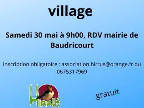 Les oiseaux de mon village