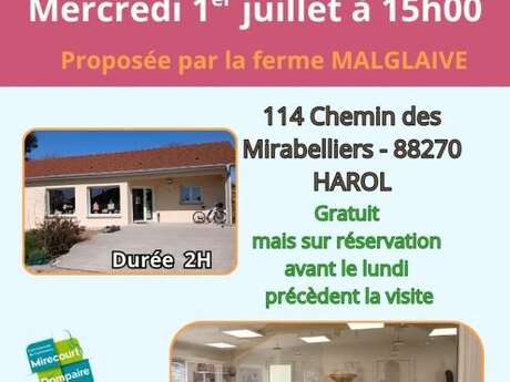 Visite à la ferme - Culture de lentilles bio