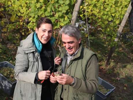 Domain Mur du Cloître