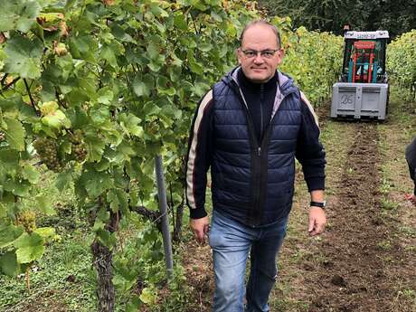 Domaine Sontag