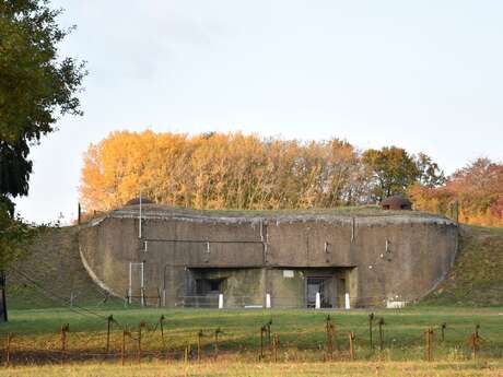 PETIT OUVRAGE DU IMMERHOF