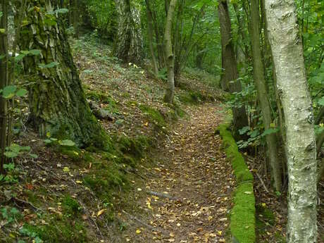 Sandy lawns of Grund