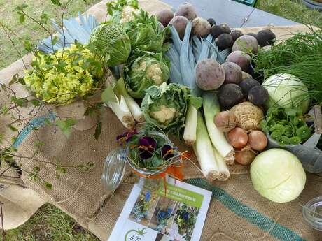 Le Noyer - The organic vegetable garden