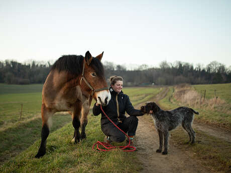 Domaine de l'Altbach