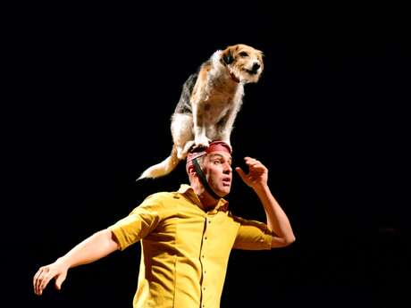 The Reversed Cabaret