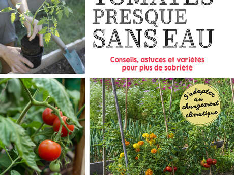 Conférence : Des tomates presque sans eau