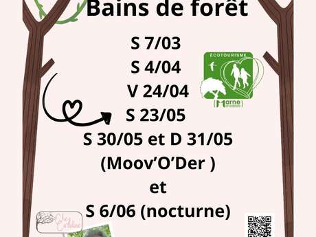 Bain de forêt avec Chez Caroline Sophro