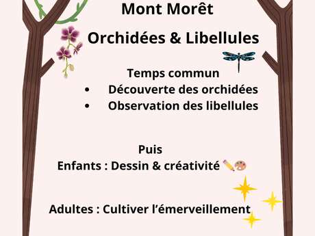 Animation nature famille
