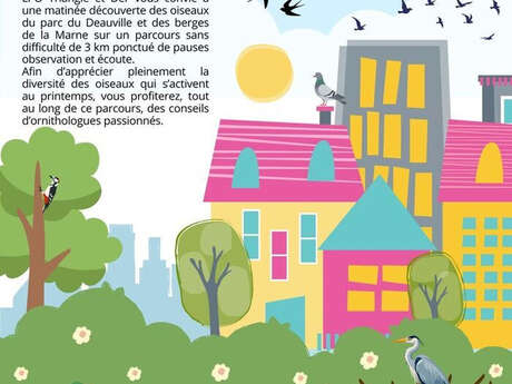 A l'écoute des oiseaux des parcs urbains et des bords de Marne