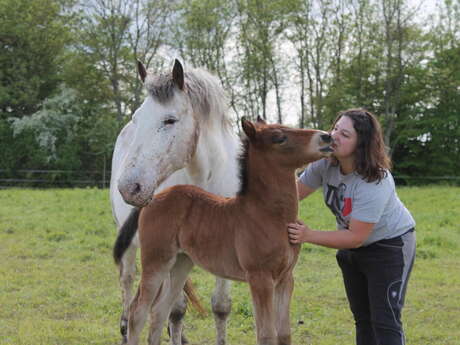 Escapades : Découverte des animaux de la Ferme du Ranch du Pont urgin