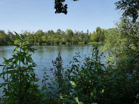 Le Parc d'Isle Jacques Braconnier et son Isle sauvage