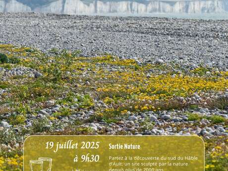 Les paysages uniques du Hâble d'Ault
