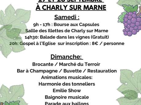 Fête de la Vigne et des Saveurs