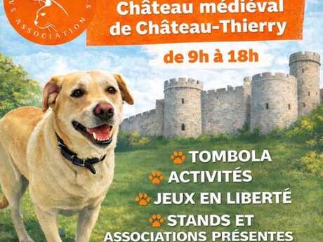 Festi'wouaf à Château-Thierry