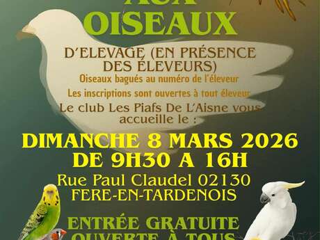 Bourse aux oiseaux