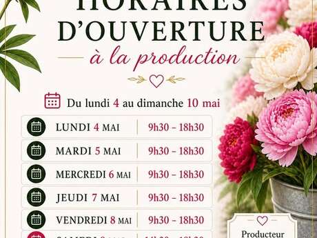 Pivoines de Picardie