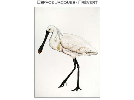 Exposition : Léna KEOHAVONG