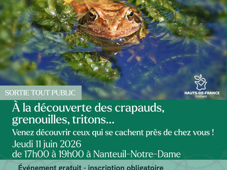 Sorties À la découverte des crapauds, grenouilles, tritons...