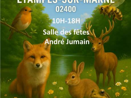 Exposition La nature près de chez nous