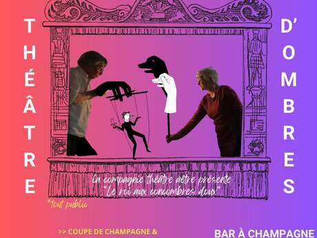 Diner spectcale au canardises Diner spectcale au canardises