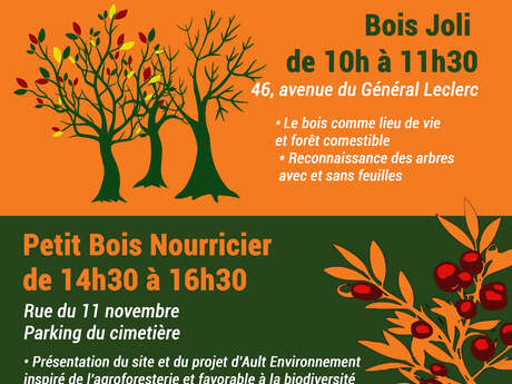 Sorties nature et plantations d'automne