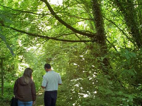 Château d'Harcelaines