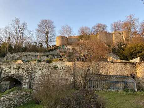 Visite du jardin Jacopin