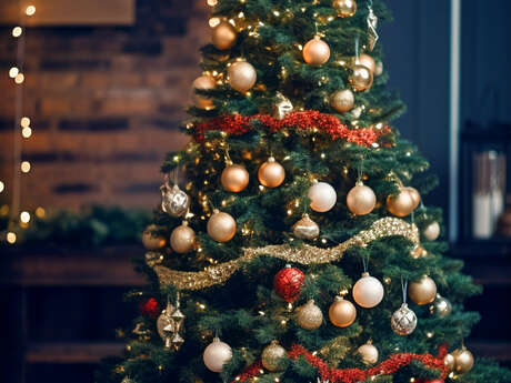 Illuminations de Noël