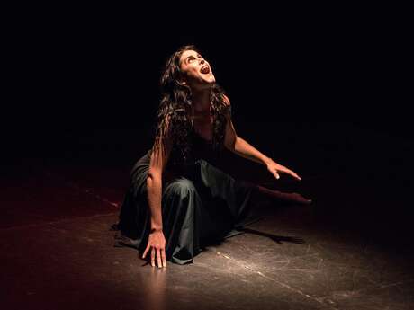 Ateliers Théâtre pluridisciplinaires