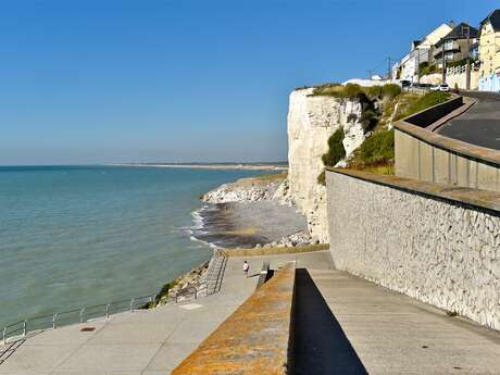 Exposition : Histoires de falaises