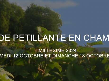 Balade pétillante en Champagne / Vallée de la Marne