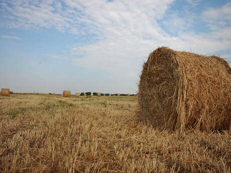 Le belvédère de la Serre