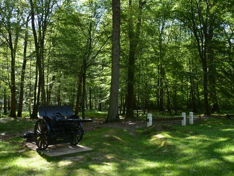 Visite guidée "Sur les traces des combats du Bois de Belleau"