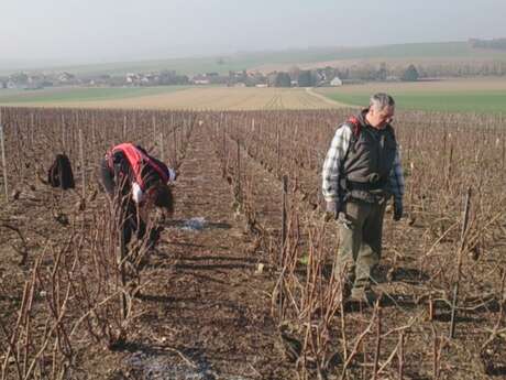 Champagne Bernard Bijotat