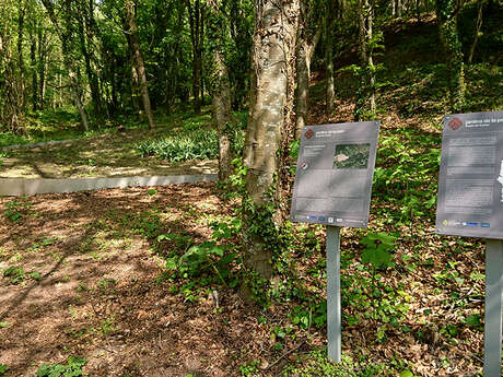 Vestiges du village de Craonne et son arboretum