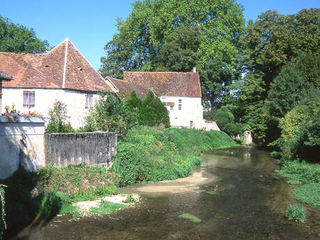 Au bonheur des bois et des papillons