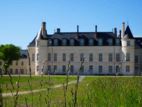 Visite « Le château de la forêt »