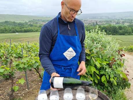 Domaine Mallet