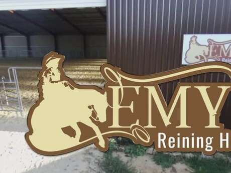 EMY REINING HORSES : Stages Poney et Stages Cheval pour tous !