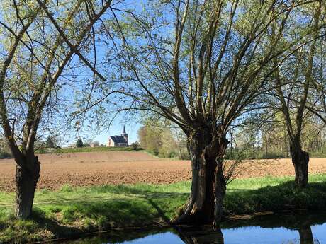 Les sources de la Somme