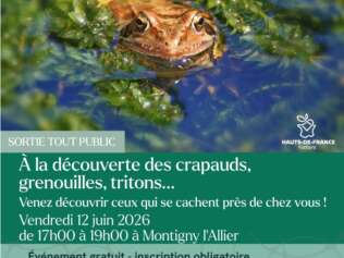 Sorties À la découverte des crapauds, grenouilles, tritons...