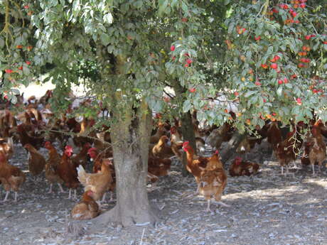 La ferme de Larget