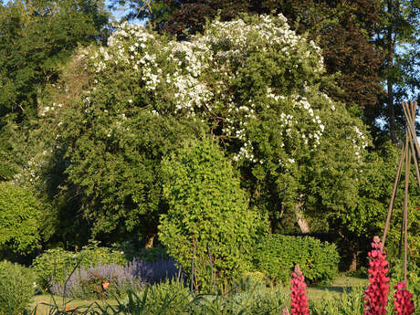 Du Val Saint-Pierre à la Paix Notre-Dame