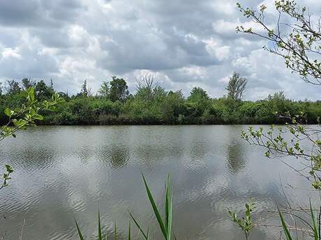 Sortie nature à Liesse-Notre-Dame : "Les oiseaux en liesse !"