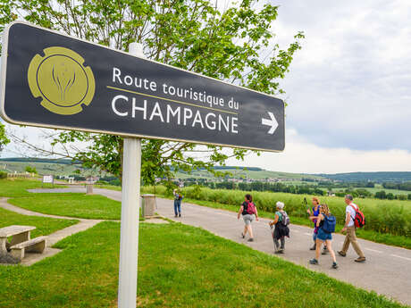 Une randonnée pique-nique de vigneron avec le champagne Leclere Torrens