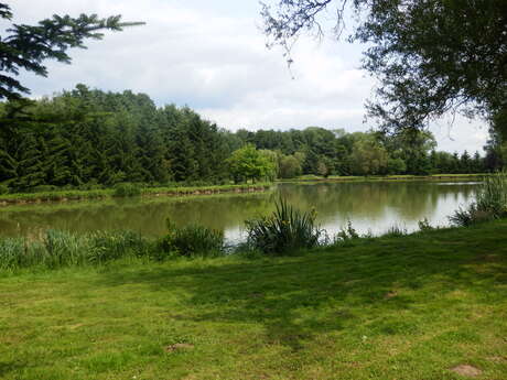 Les Etangs du Moulin de Rollequin