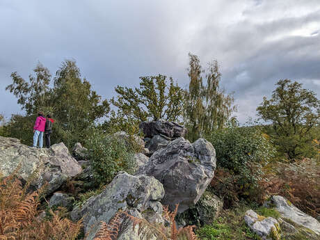 Hottée de Gargantua