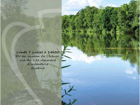 Nature et respiration