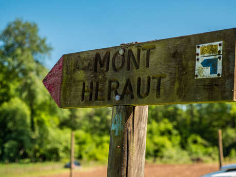 Le Mont Héraut